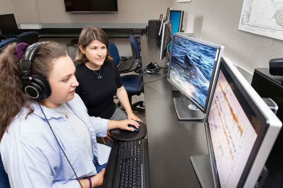两名研究人员在实验室里一边听音频，一边看着电脑显示器.